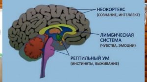 УЛУЧШЕНИЕ посадки ВСАДНИКА: как ПЕРЕСТАТЬ ЗАЖИМАТЬ колени в седле