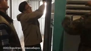 Сортировочная машина TAS210A-1