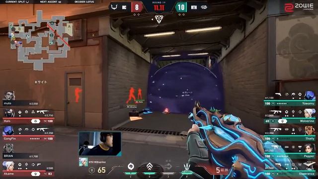 Wolverine vs REJECT 4kills - VCJ 2024 Split1 MainStage DAY5 смотреть онлайн