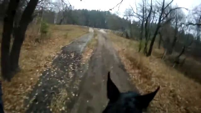 Эпиграмма смотреть онлайн