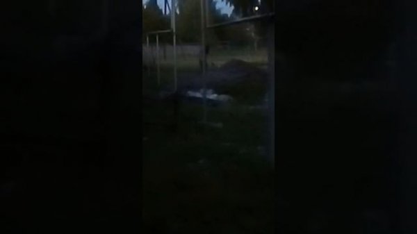 Фредди Крюгер 1часть