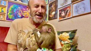 ГАМАДРИЛЬИ СТРАСТИ! Степа и Тося не отходят друг от друга, а Манечка сильно обижается на них