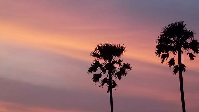 MÚSICA PARA RELAXAR #sitar #musicaindiana #musicaparaestudar #musicaparadescansar #musicoterapia смотреть онлайн