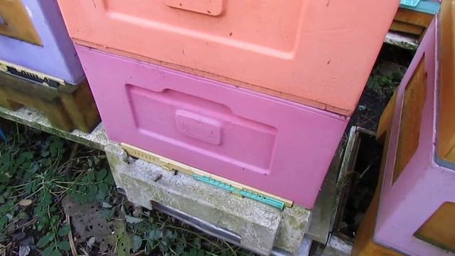 ошибки пчеловода в ноябре, которые могут привести к плохой зимовке и даже гибели пчел смотреть онлайн