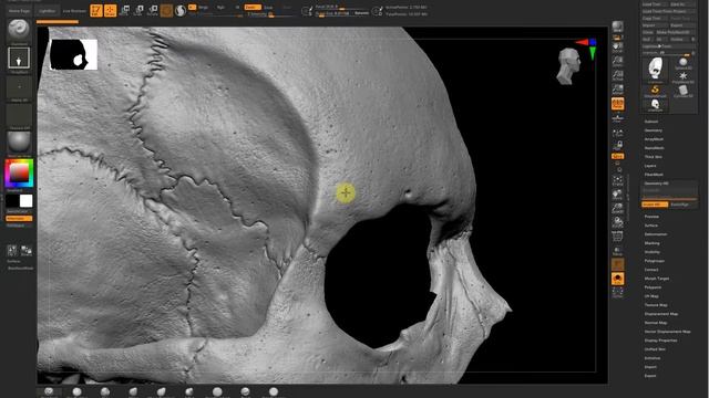 How We Use HD Geometry In ZBrush Workflow (Quick Tip 3) смотреть онлайн