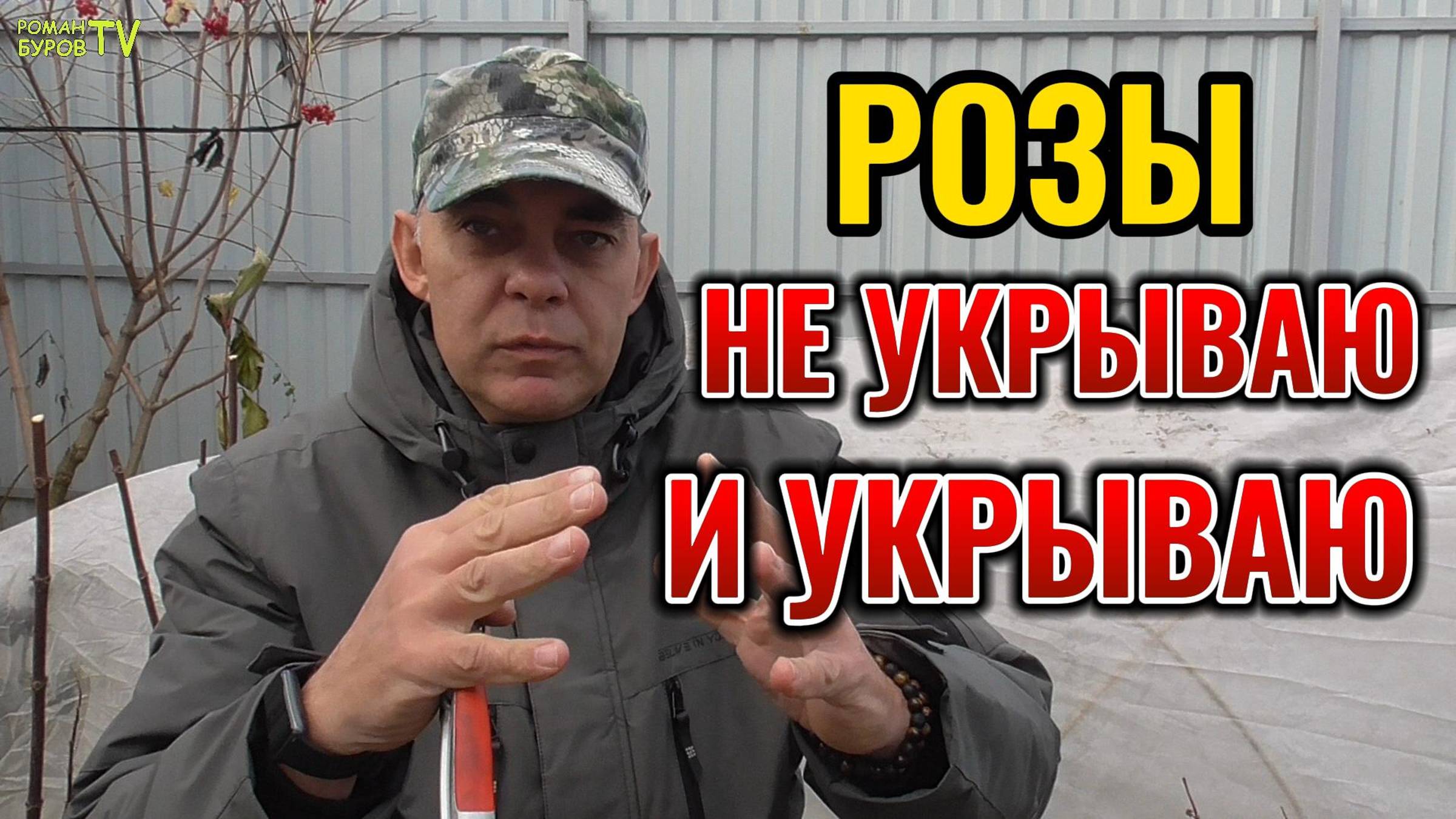 ✅ 5 СЕКРЕТОВ, которые помогут вашим 🌹 РОЗАМ пережить зиму🌨 без укрытия и с укрытием 🏡 смотреть онлайн