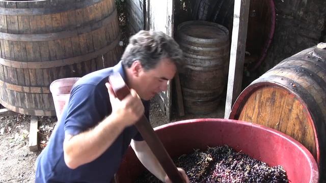 VINO ARCHEOLOGICO GUALANDI смотреть онлайн