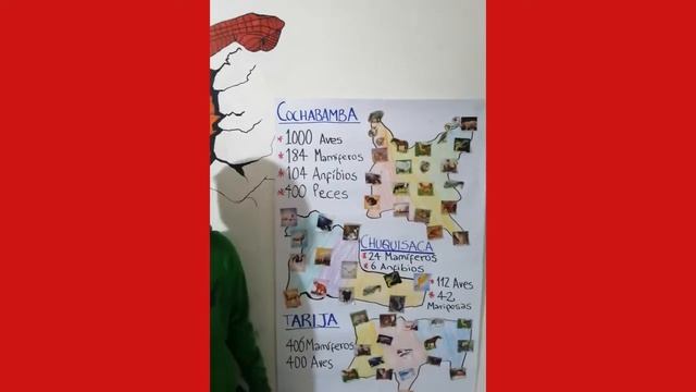 P3: C. Sociales - Región Subandina смотреть онлайн