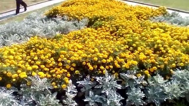 Погода Барнаул. смотреть онлайн