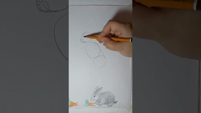 Как рисовать зайца смотреть онлайн