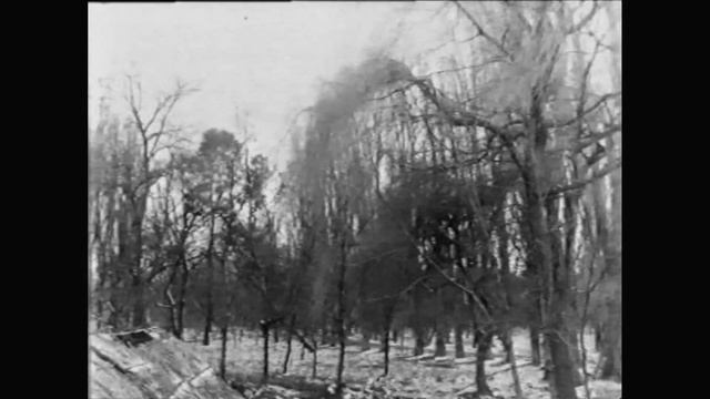 The Guest. Dir. Aleksandr Kaydanovskiy. смотреть онлайн