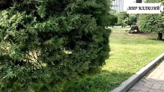 «Ты принадлежишь только мне!» - Решив навсегда разорвать отношения с тираном, девушка не подозревал смотреть онлайн