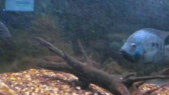 450 литров смотреть онлайн