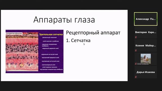 органы чувств смотреть онлайн