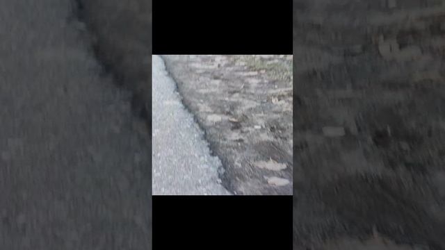 VID_20241110_162823.mp4 смотреть онлайн
