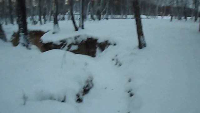 Рушится "Березовая роща" Чернигов смотреть онлайн