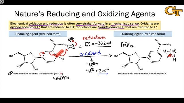 Reducing and Oxidizing Agents in Nature смотреть онлайн