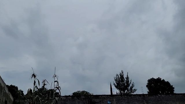 Thunderstorm With Heavy Rain & A Night Thunderstorm With Loud Thunder In Michoacán México Aug 22 '2