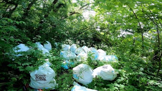 Суворовский пляж.Река Сейм в ОПАСНОСТИ.Плотина ТЭЦ.Выбираю тачку.Город Курск.4К.10 июня 2024 смотреть онлайн