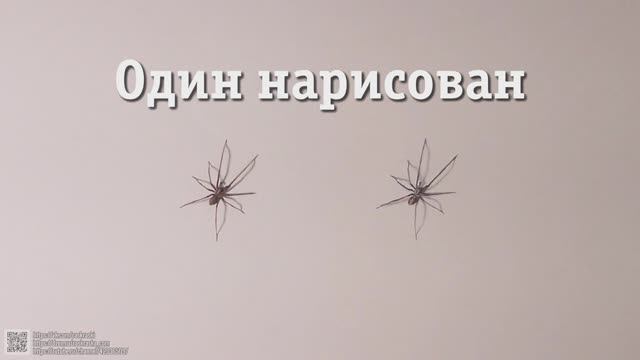 Как нарисовать паука. Фотореалистичный паук. Рисунок сложно отличить от настоящего. Проверь себя! смотреть онлайн