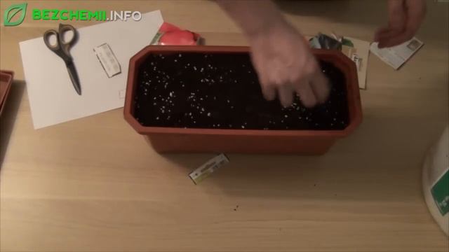 Produkcja domowej rozsady cz. I - siew. Jak przygotować rozsadę? смотреть онлайн