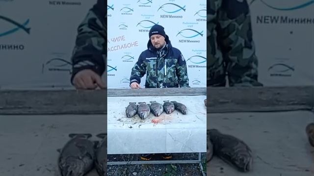 гость водоёма смотреть онлайн
