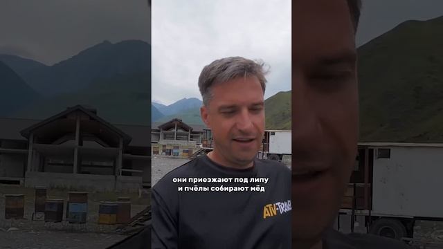 Пчелиный ДОМ на колесах смотреть онлайн