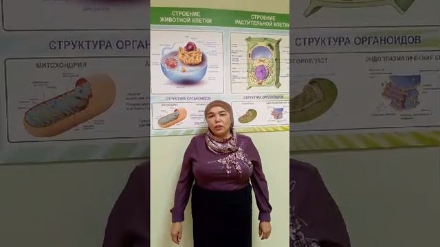 Видеовизитка Хасанова Айгуль | Биология 9-11 классы смотреть онлайн