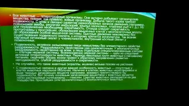 Летняя (дистанционная) онлайн - площадка педагог д/о Милтаева З.С. смотреть онлайн