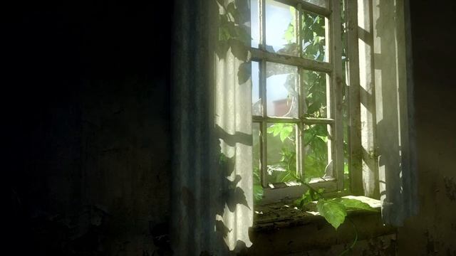Live Wallpaper Games HD/4K - The Last of Us Window смотреть онлайн