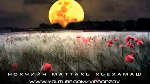 Сильный даават на чеченском смотреть онлайн