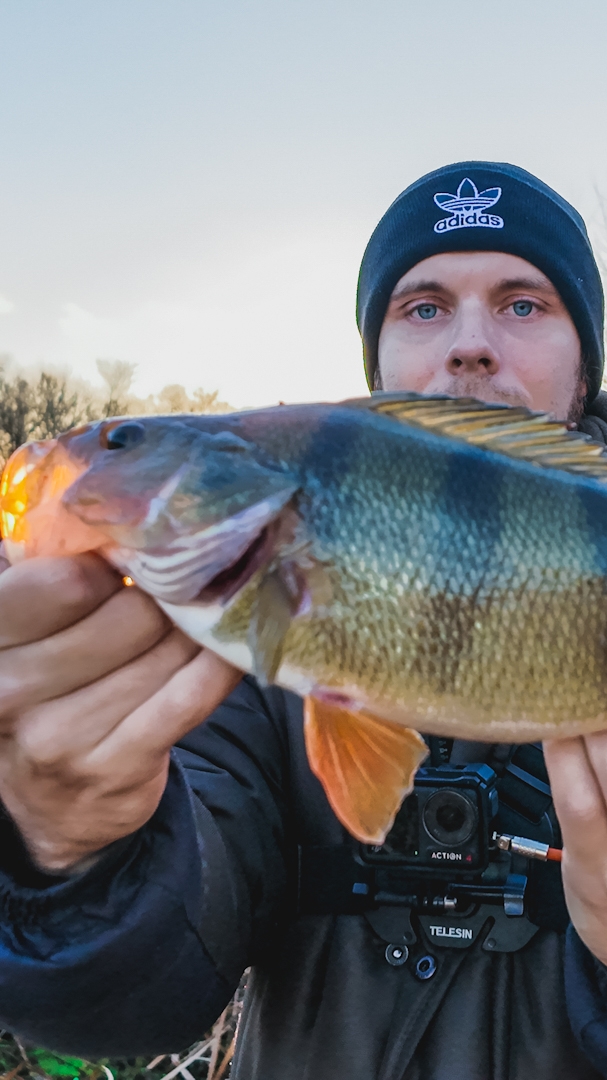 как ловить окуня поздней осенью за минуту смотреть онлайн