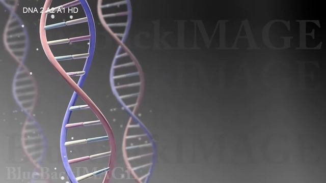 Stock Footage DNA RNA Gene Genome medical virus cell science molecule biology DNA 2 A2 A1 HD смотреть онлайн