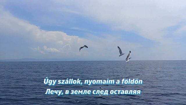 Thy Catafalque - Sirály (fanmade Video с переводом)