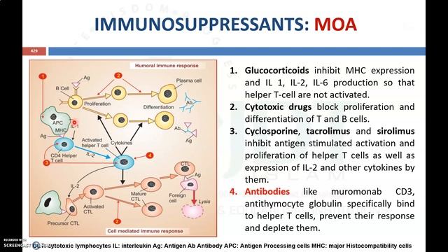 IMMUNOSUPPRESSANTS Part 2: Pharmacology: Azathioprine: Methotrexate: Etanercept: Infliximab смотреть онлайн