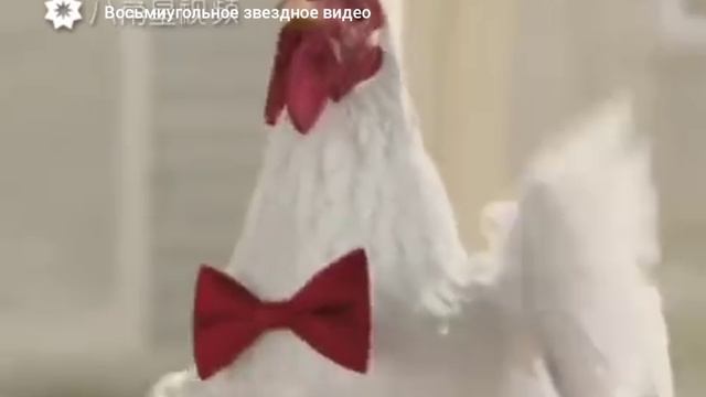 Перевод Песня курицы смотреть онлайн