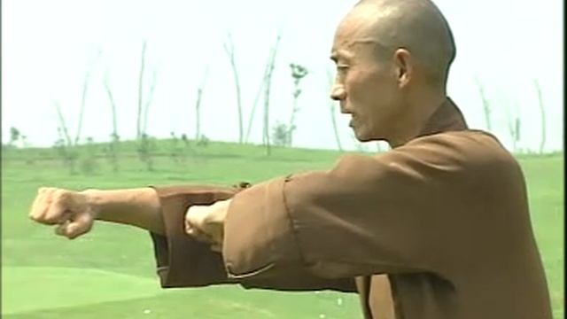 Шаолинь Пао цюань - Пушечный кулак Шаолинь смотреть онлайн