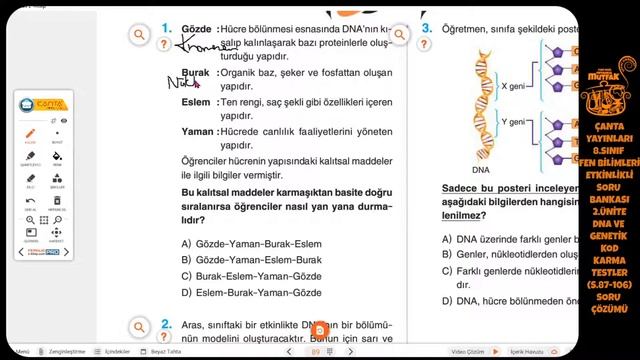 SORU ÇÖZÜMÜ 8. SINIF FEN LGS 2.ÜNİTE: DNA VE GENETİK KOD ÇANTA YAY. ANLAŞILIR. ÇİZİMLİ смотреть онлайн