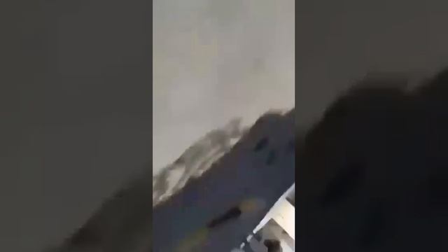 Нечего к собачке приставать.