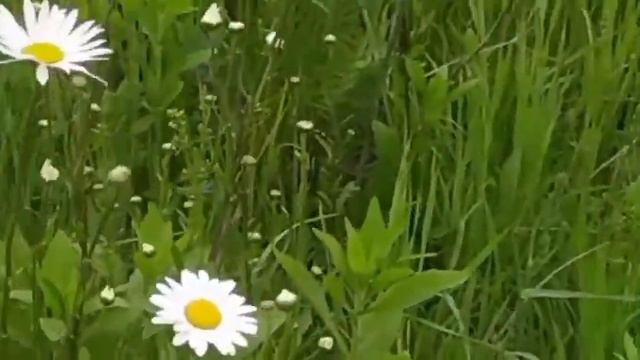От всего этого смотреть онлайн