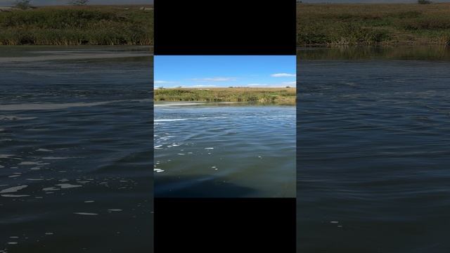 Рыбалка смотреть онлайн