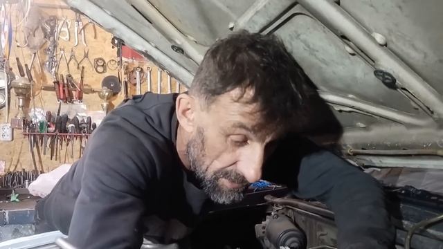 Laurel будет жить. смотреть онлайн