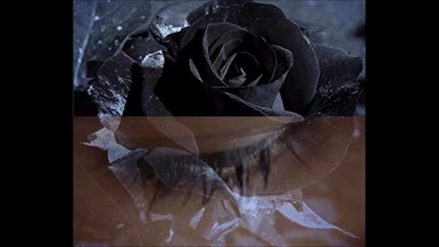 Rosa Luna - Dolor de perder a un hijo смотреть онлайн