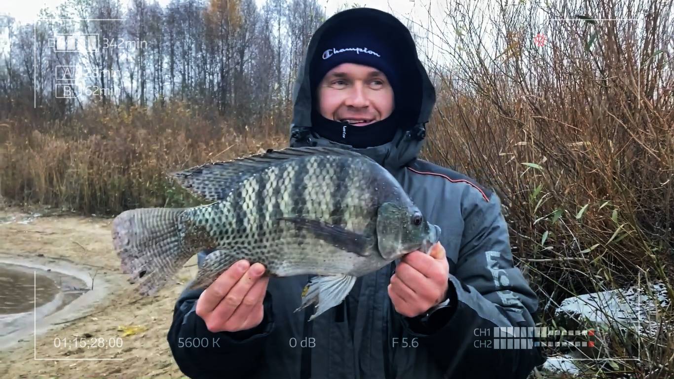 Удомля. Рыбалка в раю. Новый сезон 2024-2025 смотреть онлайн