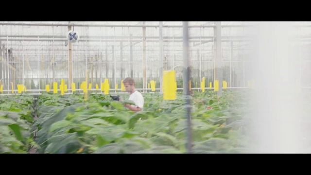 Seed Valley - Worldwide center of plant breeding and seed technology смотреть онлайн