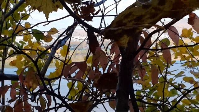 На правом берегу амура смотреть онлайн