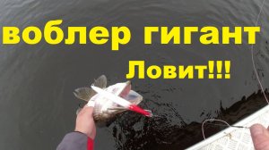 Воблер 210 мм... Ловит!! Блесна или воблер Активность щуки по холодной воде.