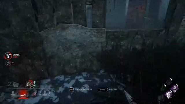 DbD - Doctor - In Mount Ormond vs Full Russian SwF смотреть онлайн