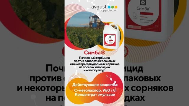 Симба- мощный почвенный гербицид против однолетних злаковых и двудольных сорняков #гербициды #сорня смотреть онлайн