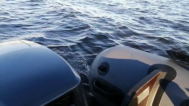 Sea-Pro 9.8 - завершение водномоторного сезона 2024, 10 ноября. смотреть онлайн